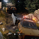 Image for article titled It's Back-To-Back Rescue Attempts In Today's Online Off-Road Adventure